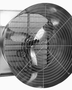 Wall fan EMC50